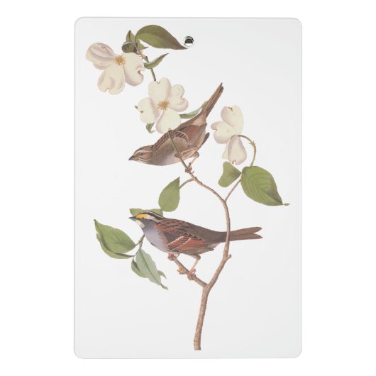 白い喉の付いたスズメのオードボンの花の鳥 ミニクリップボード (裏面)