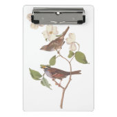 白い喉の付いたスズメのオードボンの花の鳥 ミニクリップボード (正面)