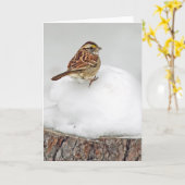 白い喉の付いたスズメ カード (黄色い花)