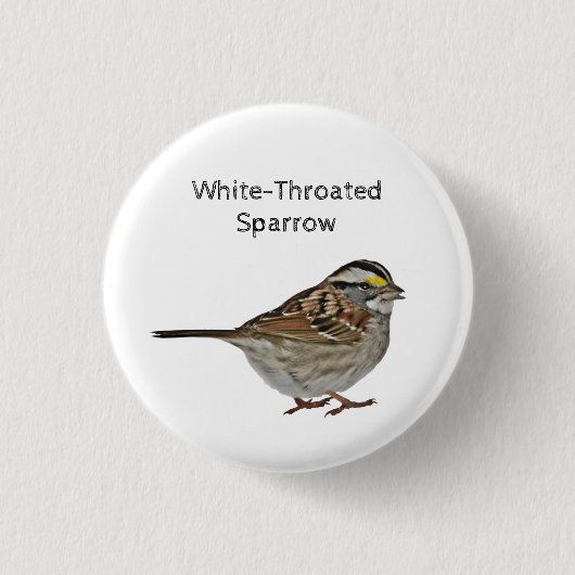 白い喉の付いたスズメ 缶バッジ (正面)