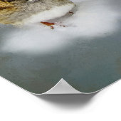 白い喉の付いた雀 ポスター (角)