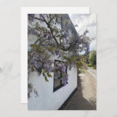 白い壁のコテージに対して成長する藤 シーズンカード (正面/裏面)