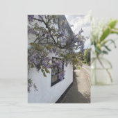 白い壁のコテージに対して成長する藤 シーズンカード (スタンド正面)