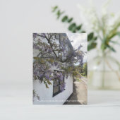 白い壁のコテージに対して成長する藤 シーズンポストカード (スタンド正面)