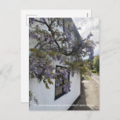 白い壁のコテージに対して成長する藤 シーズンポストカード (正面/裏面)