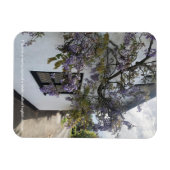 白い壁のコテージに対して成長する藤 マグネット (横)