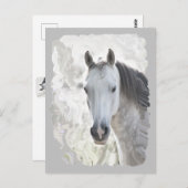 白い夢の馬 ポストカード (正面/裏面)