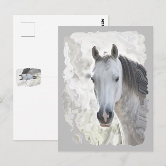 白い夢の馬 ポストカード (正面/裏面)