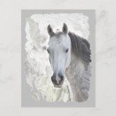 白い夢の馬 ポストカード (正面)