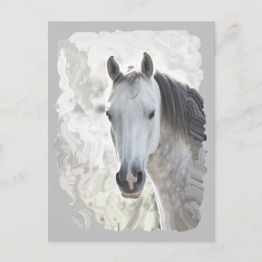 白い夢の馬 ポストカード (正面)