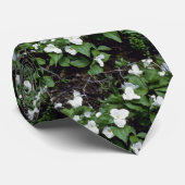 白い大き開花したエンレイソウ(エンレイソウGrandiflor ネクタイ (ロール)