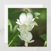 白い大げさに同情する人の招待状 招待状 (正面/裏面)