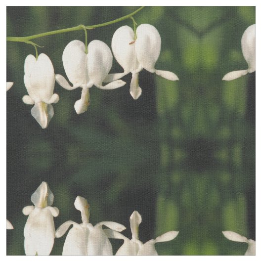 白い大げさに同情する人 ファブリック (クローズアップ)