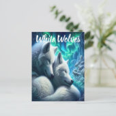 白い威厳のあるオオカミが休む ポストカード (スタンド正面)