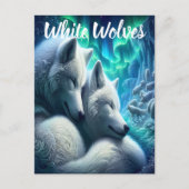 白い威厳のあるオオカミが休む ポストカード (正面)