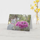 白い子ネコおよびピンクのカーネーションカード カード (黄色い花)