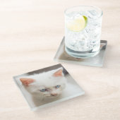 白い子ネコ ガラスコースター (アングル)