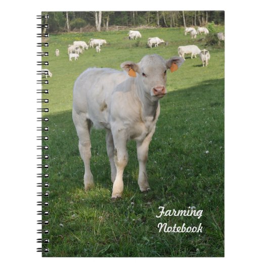 白い子牛の農業のノート ノートブック (正面)