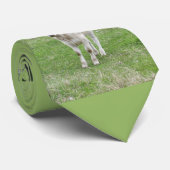 白い子牛 ネクタイ (ロール)