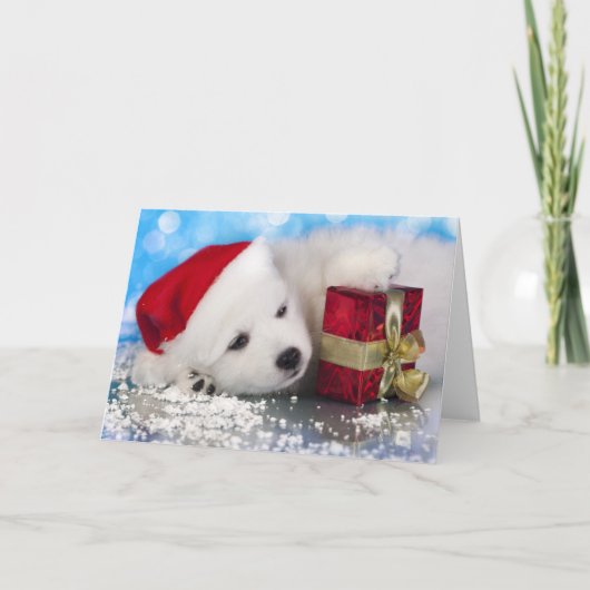 白い子犬で前足で贈り物をする シーズンカード (正面)