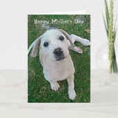 白い子犬の幸せな母の日を写真に撮る カード (正面)
