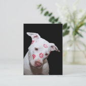 白い子犬の愛、口紅のキスで封印 ポストカード (スタンド正面)