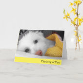 白い子犬は、あなたの黄色く総括的な考えること梳きます カード (黄色い花)