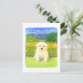 白い子犬 ポストカード (スタンド正面)