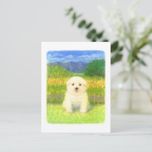 白い子犬 ポストカード (スタンド正面)