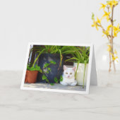 白い子猫と庭の植物 カード (黄色い花)