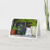 白い子猫と庭の植物 カード (正面)
