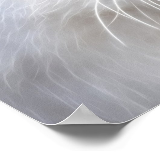 白い子猫と蝶 ポスター (角)