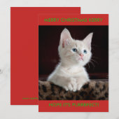白い子猫のオーダーメイド シーズンカード (正面/裏面)