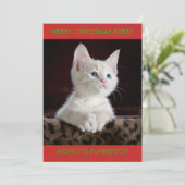 白い子猫のオーダーメイド シーズンカード (スタンド正面)