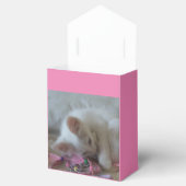 白い子猫のギフトボックス フェイバーボックス (オープン)