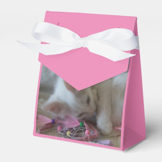 白い子猫のギフトボックス フェイバーボックス (正面サイド)