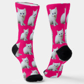 白い子猫ピンクの背景 ソックス (傾斜あり)