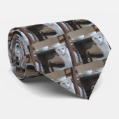 白い子猫猫 ネクタイ (ロール)