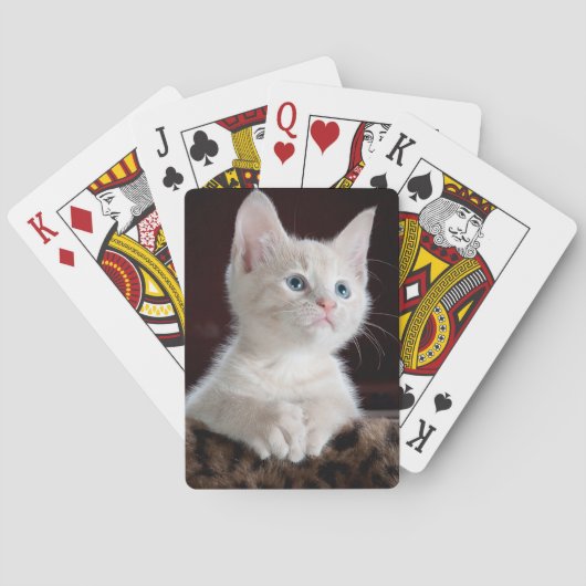 白い子猫遊のカード。 トランプ (裏面)