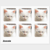 白い子猫 スクエアシール (シート)