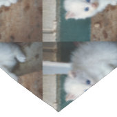 白い子猫 テーブルクロス (アングル)