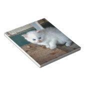 白い子猫 ノートパッド (アングル)