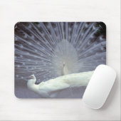 白い孔雀のマウスパッド マウスパッド (マウス)