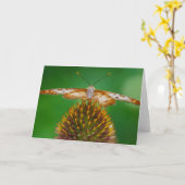 白い孔雀 カード (黄色い花)