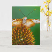 白い孔雀 カード (黄色い花)