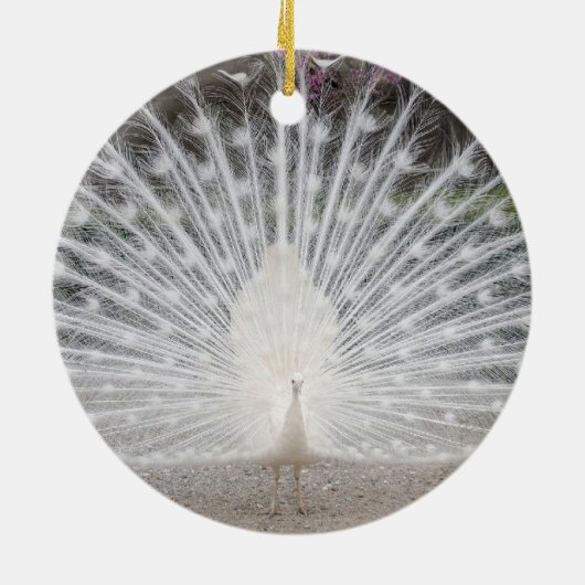 白い孔雀 セラミックオーナメント (裏面)