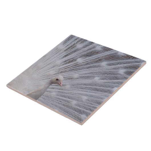 白い孔雀 タイル (側面)