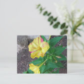 白い封筒のポストカード ポストカード (スタンド正面)