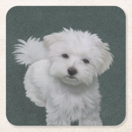 白い小型犬のペット肖像画 スクエアペーパーコースター