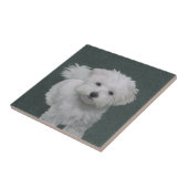 白い小型犬のペット肖像画 タイル (側面)